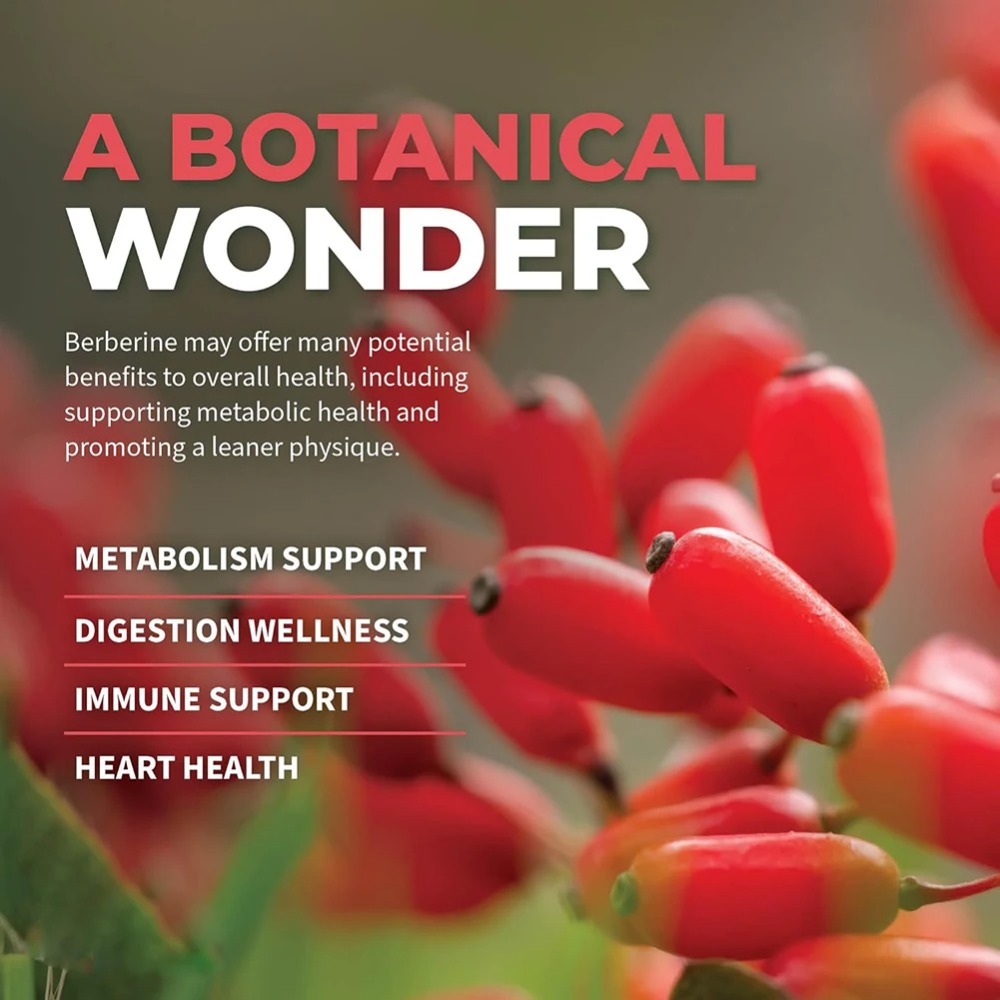 Berberine HCl with Ceylon Cinn - Berberine Hcl Capsule ulasan dan harga