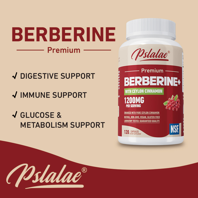 Berberine - Antioxidant, Suppo - Berberine Hcl Capsule ulasan dan harga