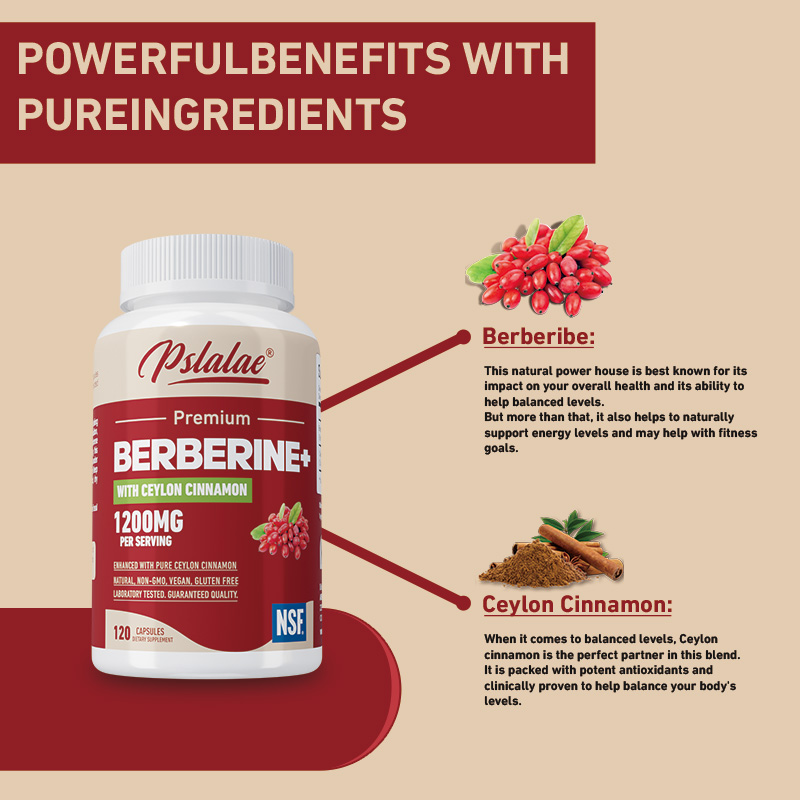 Berberine - Antioxidant, Suppo - Berberine Hcl Capsule ulasan dan harga