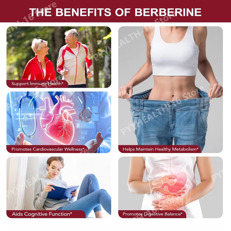 Berberine Capsules 1200mg Per  - Berberine Hcl Capsule ulasan dan harga